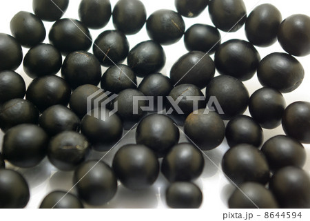 ムクロジの種子 ムクロジの種子 8644594