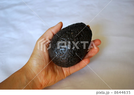 アボカド 8644635