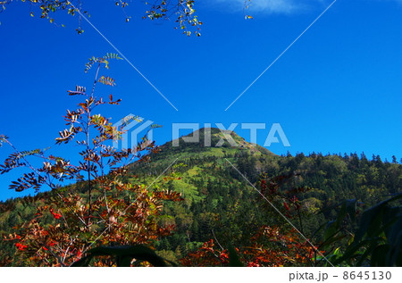 秋の気配の岩菅山 8645130