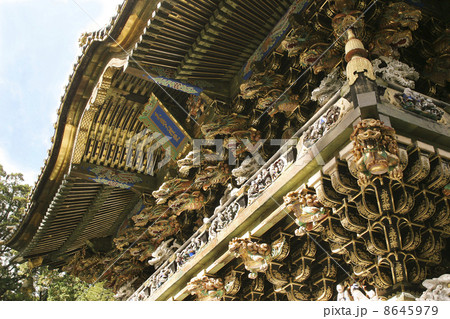 日光東照宮 日光東照宮 8645979