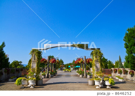 宇治市植物公園フラワーブリッジ 宇治市植物公園フラワーブリッジ 8646252