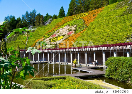 宇治市植物公園の花と水のタペストリーの写真素材