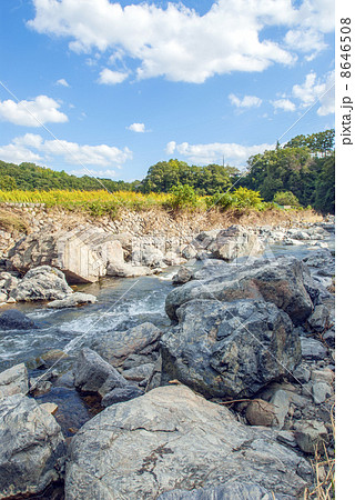 摂津峡の芥川 摂津峡の芥川 8646508