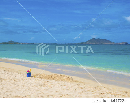 夏の思い出 8647224