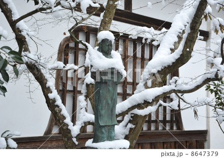京都 三千院 伝教大師像 京都 三千院 伝教大師像 8647379
