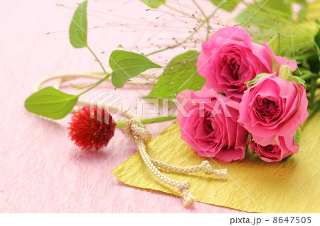 薔薇　和風 8647505
