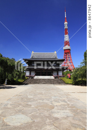夏の芝増上寺と東京タワー 夏の芝増上寺と東京タワー 8647942