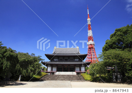 夏の芝増上寺と東京タワー 夏の芝増上寺と東京タワー 8647943