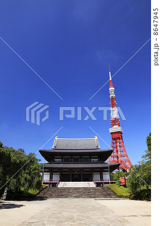 夏の芝増上寺と東京タワー 8647945