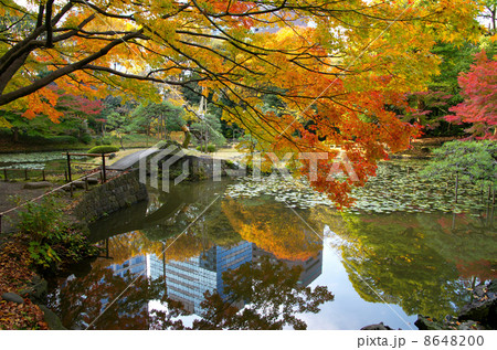 小石川後楽園 8648200