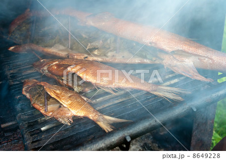 Smoked fish 8649228
