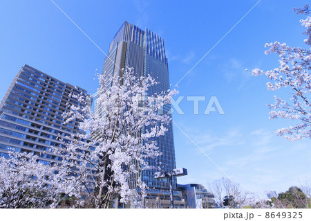 東京都・東京ミッドタウンと桜 東京都・東京ミッドタウンと桜 8649325