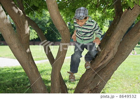 Summer plays Summer plays 8649532