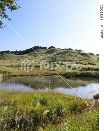 砥峰高原のススキ  8651039