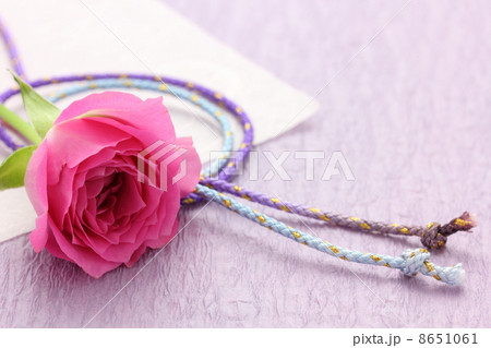 薔薇　和風 8651061