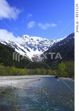 新緑の上高地 新緑の上高地 8651126