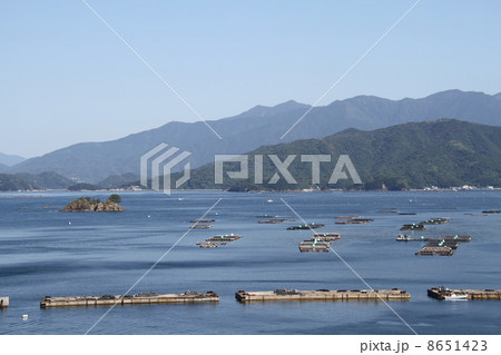 宇和海の養殖イカダ 8651423