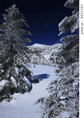 冬のイメージ　樹氷と北横岳 8651567