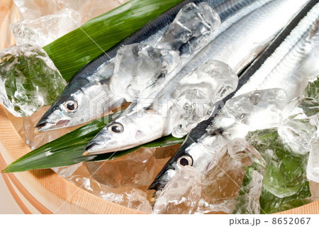 北海道産　さんま 8652067