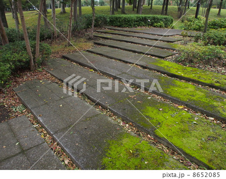 清原中央公園 清原中央公園 8652085