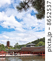 安芸の宮島 8652537