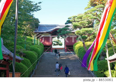 護国寺　不老門 8653061