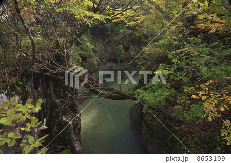 紅葉の殿淵 8653109