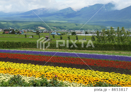 富良野 8653817