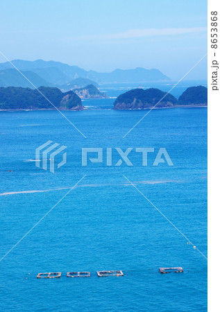 高松公園から紀伊の松島を望む 8653868