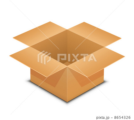 Open cardboard box on white 8654326
