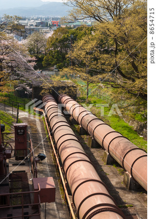 琵琶湖疎水の桜並木 琵琶湖疎水の桜並木 8654715