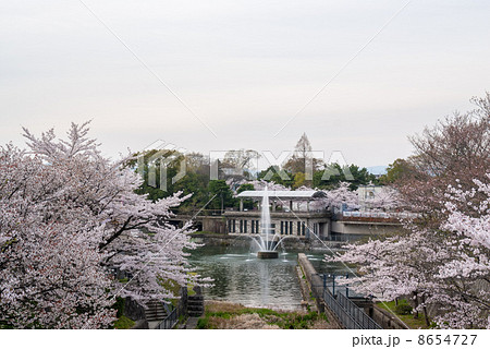 琵琶湖疎水の大噴水 琵琶湖疎水の大噴水 8654727