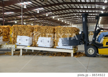 アメリカ　たばこ工場 8654922