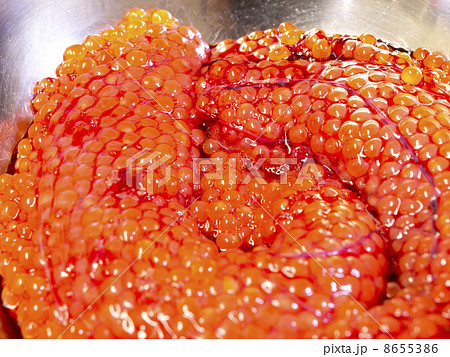 ボウルに入った筋子（アップ） 8655386