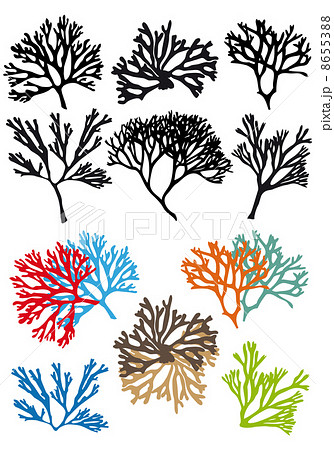 corals reefs, vector set corals reefs, vector set 8655388