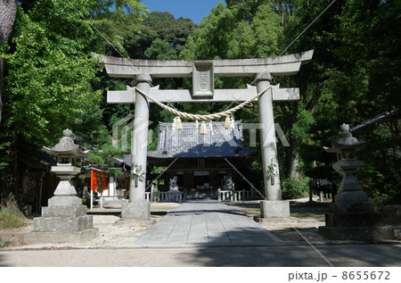松平東照宮(愛知県) 松平東照宮(愛知県) 8655672