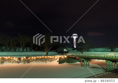 夜の五稜郭公園 夜の五稜郭公園 8656055