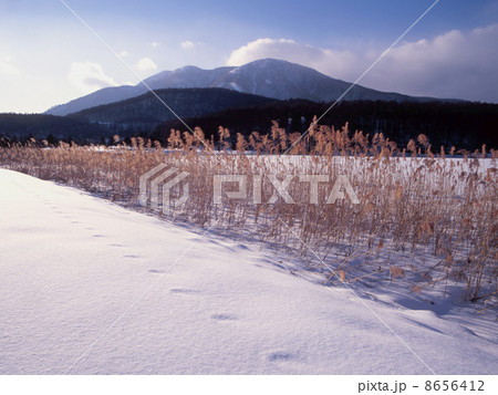 霊仙寺湖の冬 8656412