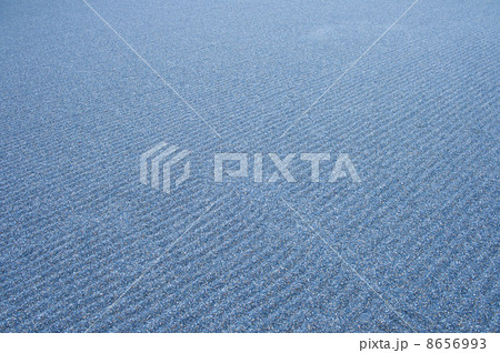 境内の庭 境内の庭 8656993