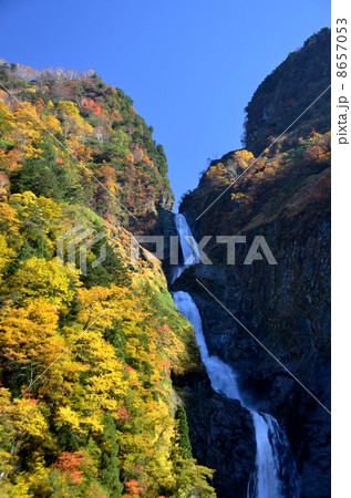 日本一の落差を誇る称名滝の紅葉 8657053