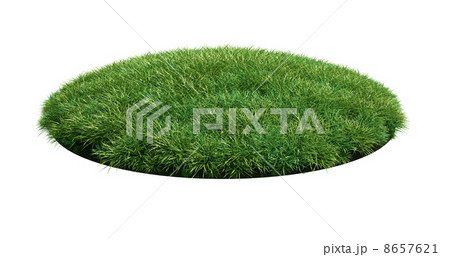 Grass arena 8657621