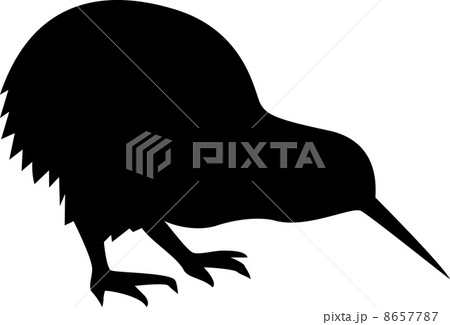 キーウィのシルエット 8657787