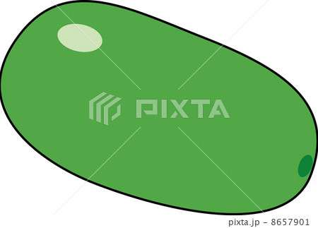 トウガン 8657901