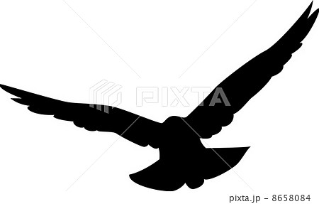 Pigeon Silhouette Stock Illustration