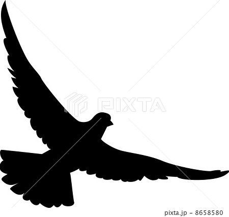 Pigeon Silhouette Stock Illustration