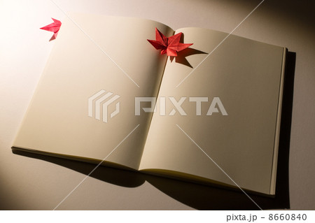 秋の夜の読書 8660840