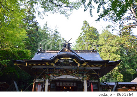 宝登山神社の本殿(埼玉県秩父郡長瀞町長瀞) 宝登山神社の本殿(埼玉県秩父郡長瀞町長瀞) 8661264