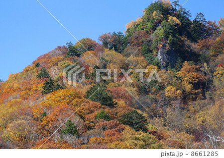 見守る岩 8661285