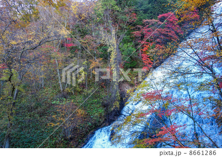 湯滝の観客 8661286