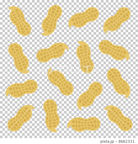 落花生のテクスチャ 8662331